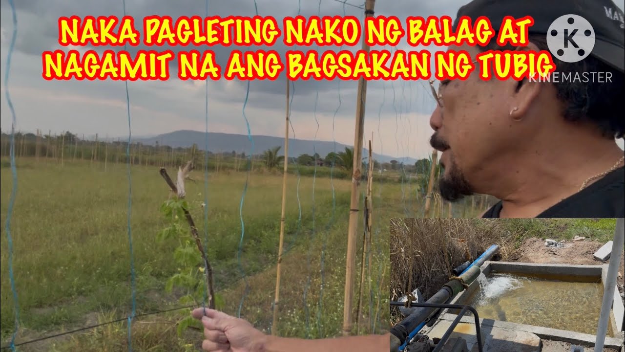 NAKA PAGLETING NA AKO SA BALAG AT NAGAMIT NA ANG BAGSAKAN NG TUBIG 