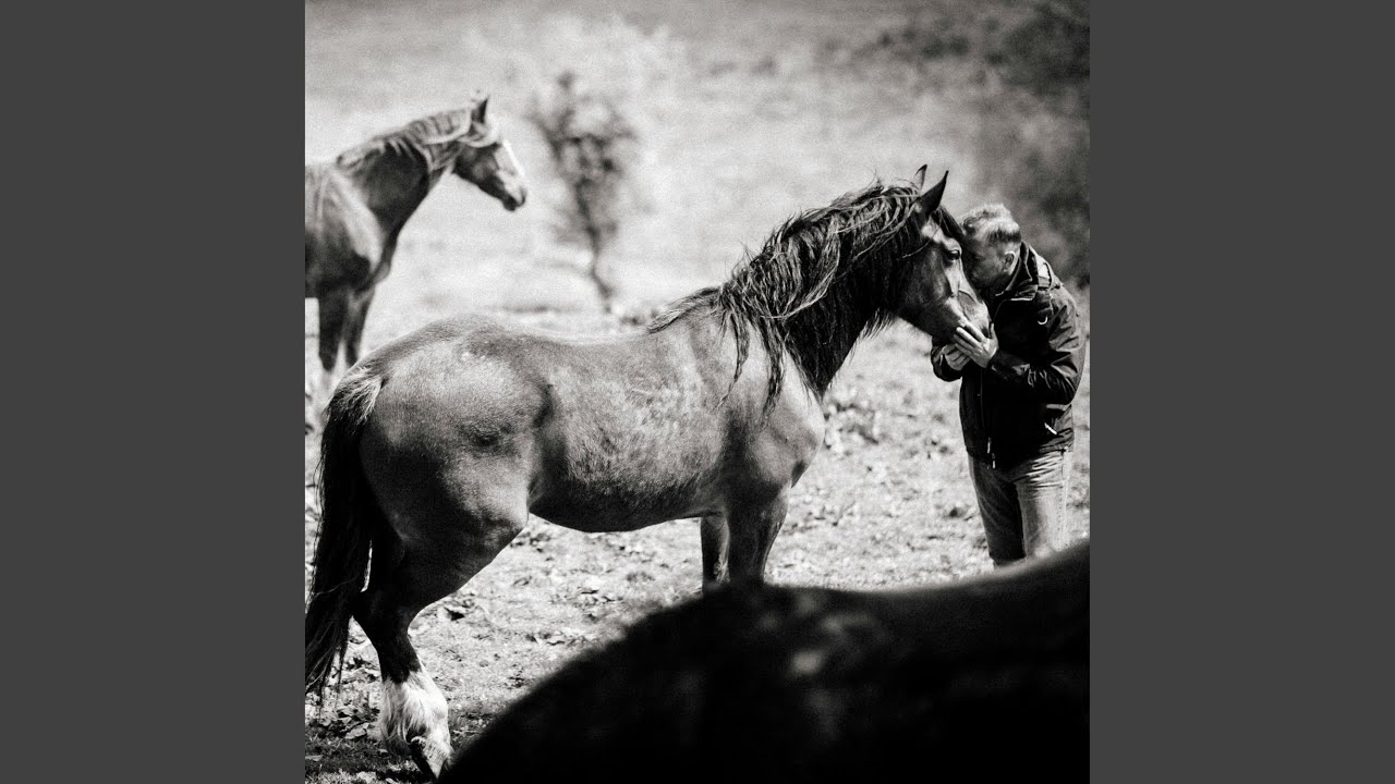 Cowboy Solitaire