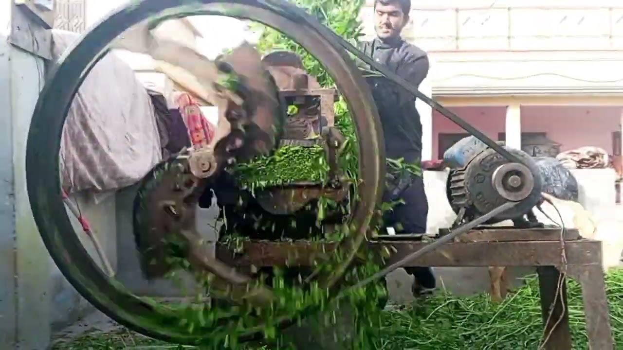 Grass Cutting Machine in Action: Perfect Feed for Livestock!#asmr #ytviral #cuttingsound 