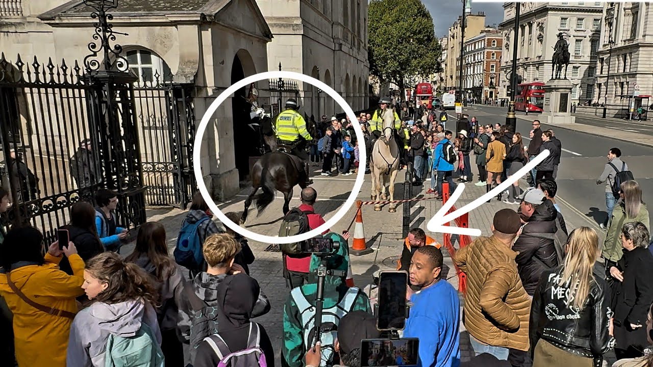 Met Police Horse & King's Guard Horse Spooked as the Police Shouted at Maintenance Man in London