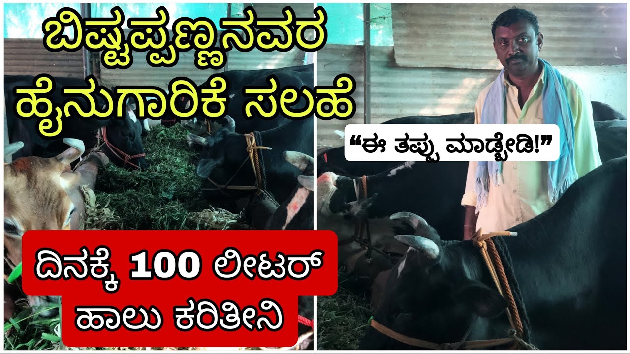  ಹೈನುಗಾರಿಕೆ ಸಲಹೆ | ಹಸುಗಳನ್ನ ಹೀಗೆ ಕಾಳಜಿ ಮಾಡಬೇಕು | Dairy Farming Tips Kannada | Incredible Vishaya