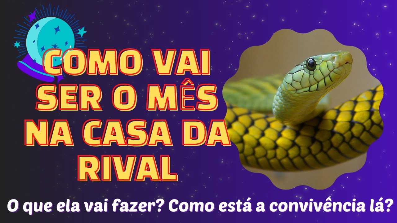 COMO VAI SER O MÊS NA CASA DA RIVAL!