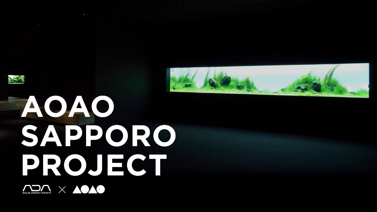 [ADAview] AOAO SAPPORO Project - Layout Section - 都市型水族館レイアウトプロジェクト【EN Sub.】