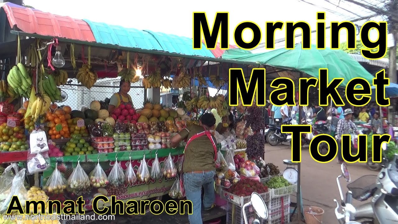 Morning Market Tour, Amnat Charoen, Northeast Thailand.