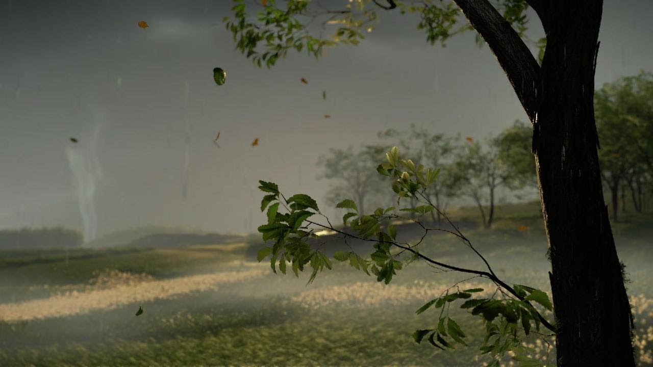 Ghost of Yōtei Rain ambient natural 🌿🌧️😴