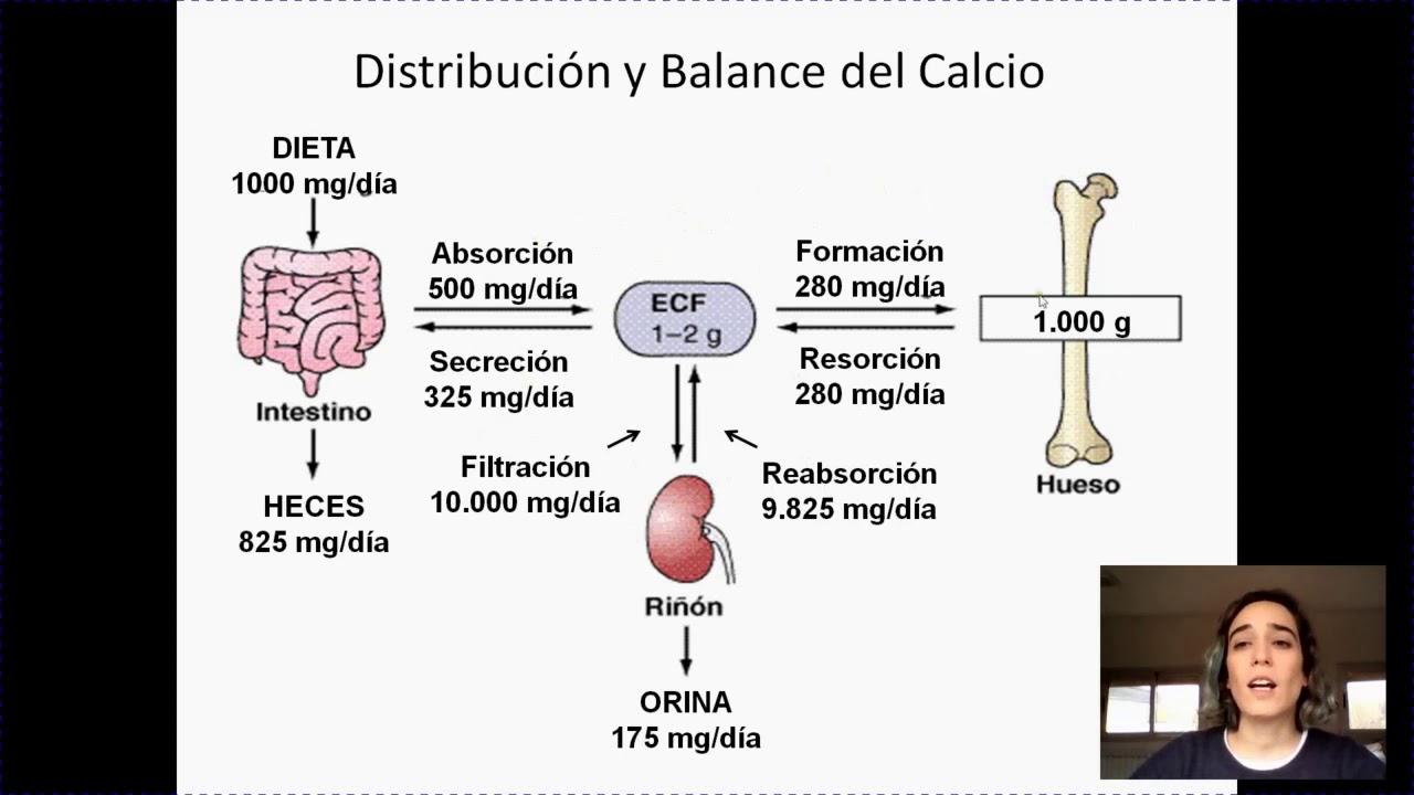 Metabolismo mineral y fisiologia osea