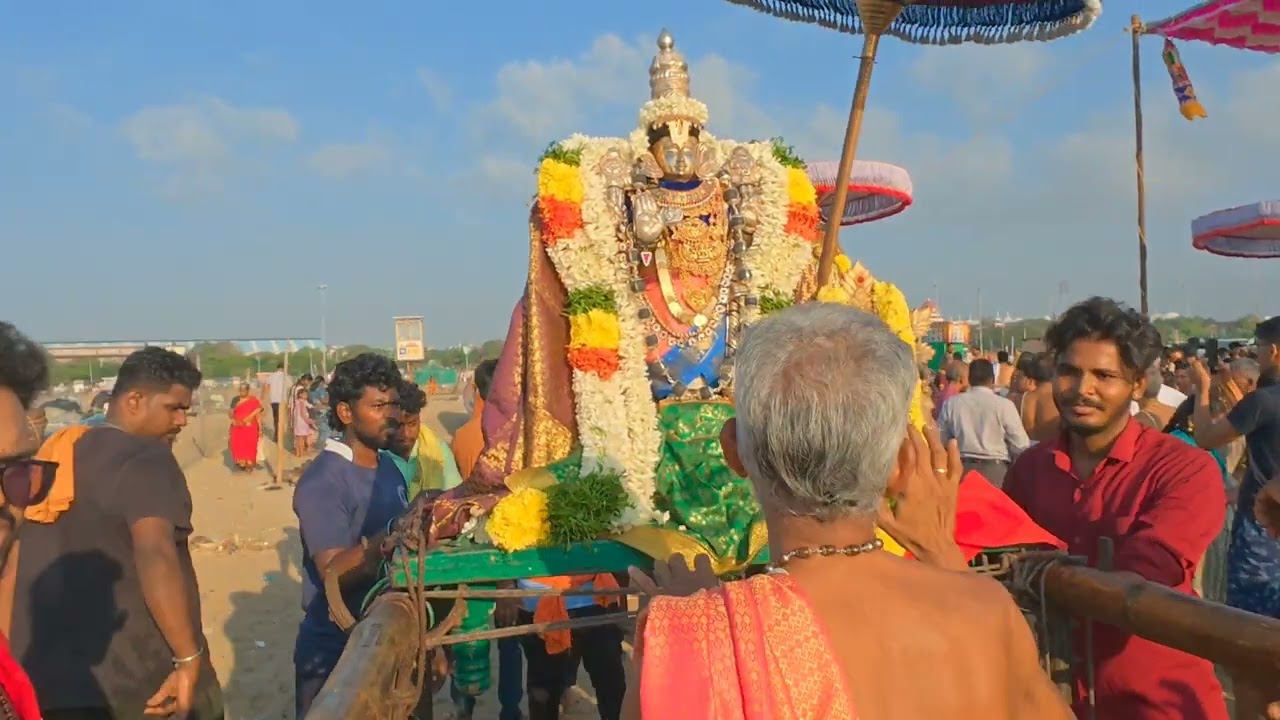 மாசி மகம் ஶ்ரீ பார்த்தசாரதி பெருமாள் தீர்த்தவாரி...maasi magam theerthavari @ parthasarathi temple