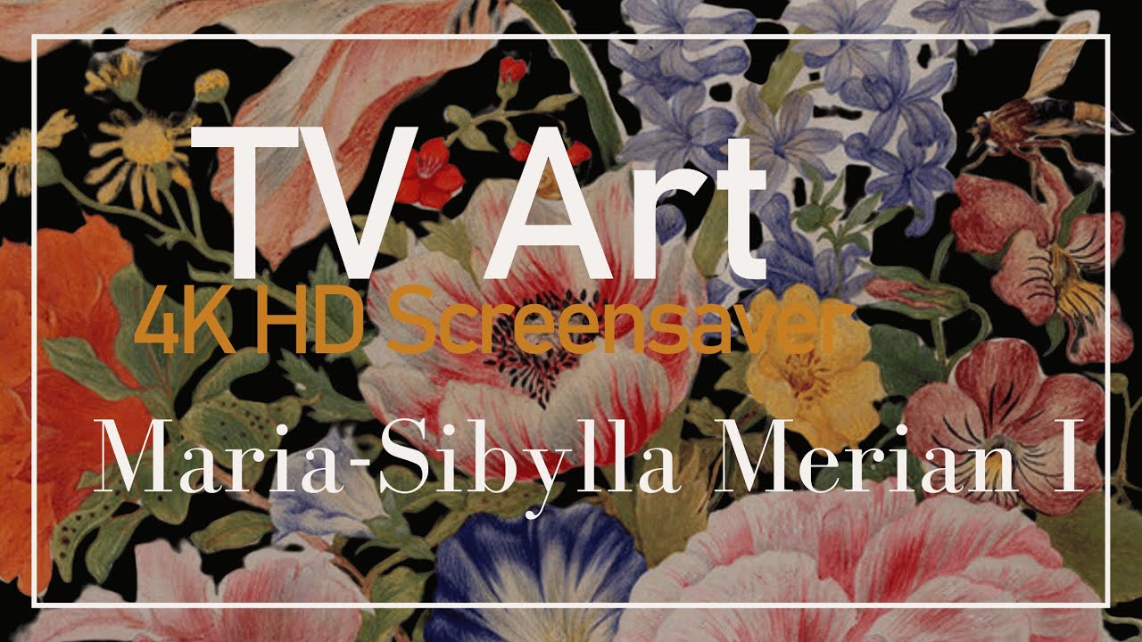 4K HD Elegant Real Art TV Screensaver: Maria Sibylla Merian - I - 1.43 H, No Sound, No AI