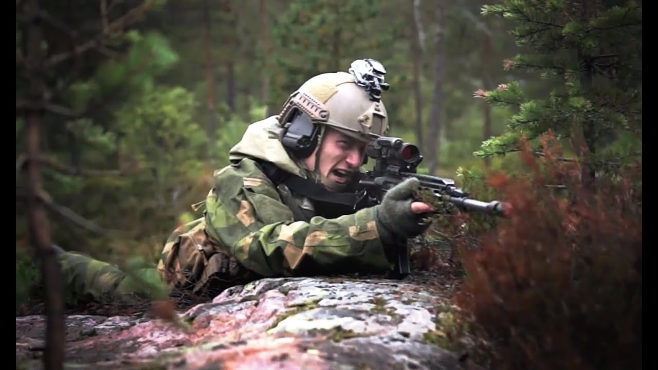 Ild Og Bevegelse: Hans Majestet Kongens Garde