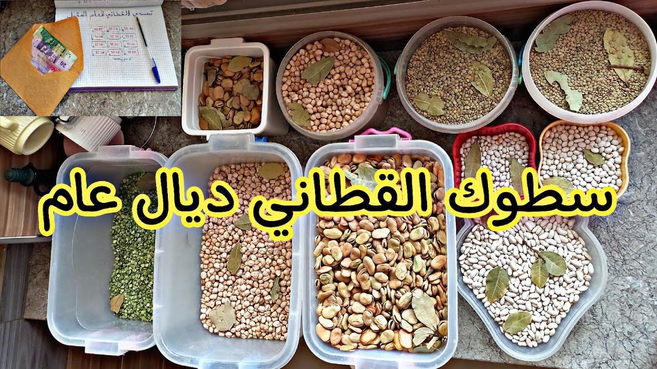 سطوك القطاني ديال عام مع ذكر الأثمنة 💸شاركت معاكم ضرف قطاني 📈وطريقة الاحتفاظ🫙 وكيفاش نظمتو👏👏
