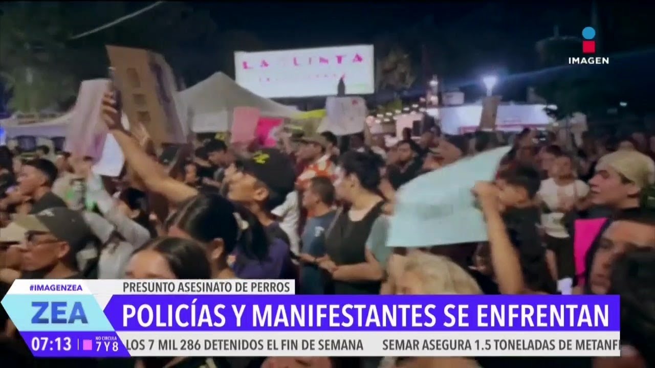Manifestantes protestan previo al Grito de Independencia por maltrato animal | Noticias con Zea