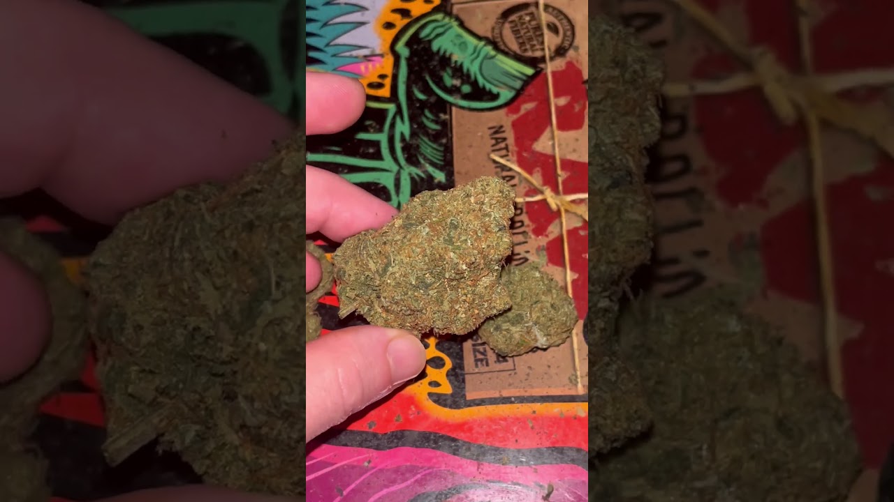 AAAA Apricot Cream & Cheese #AAAA #ukcheese #ukmedicalcannabis #apricot #cream #cheese