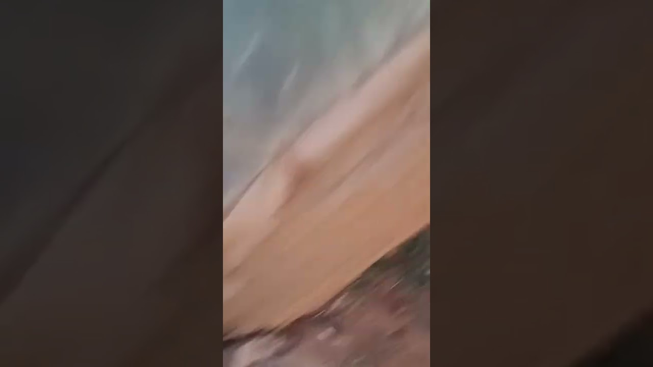 زراعة نخيل الواشنطونيا من البذور
