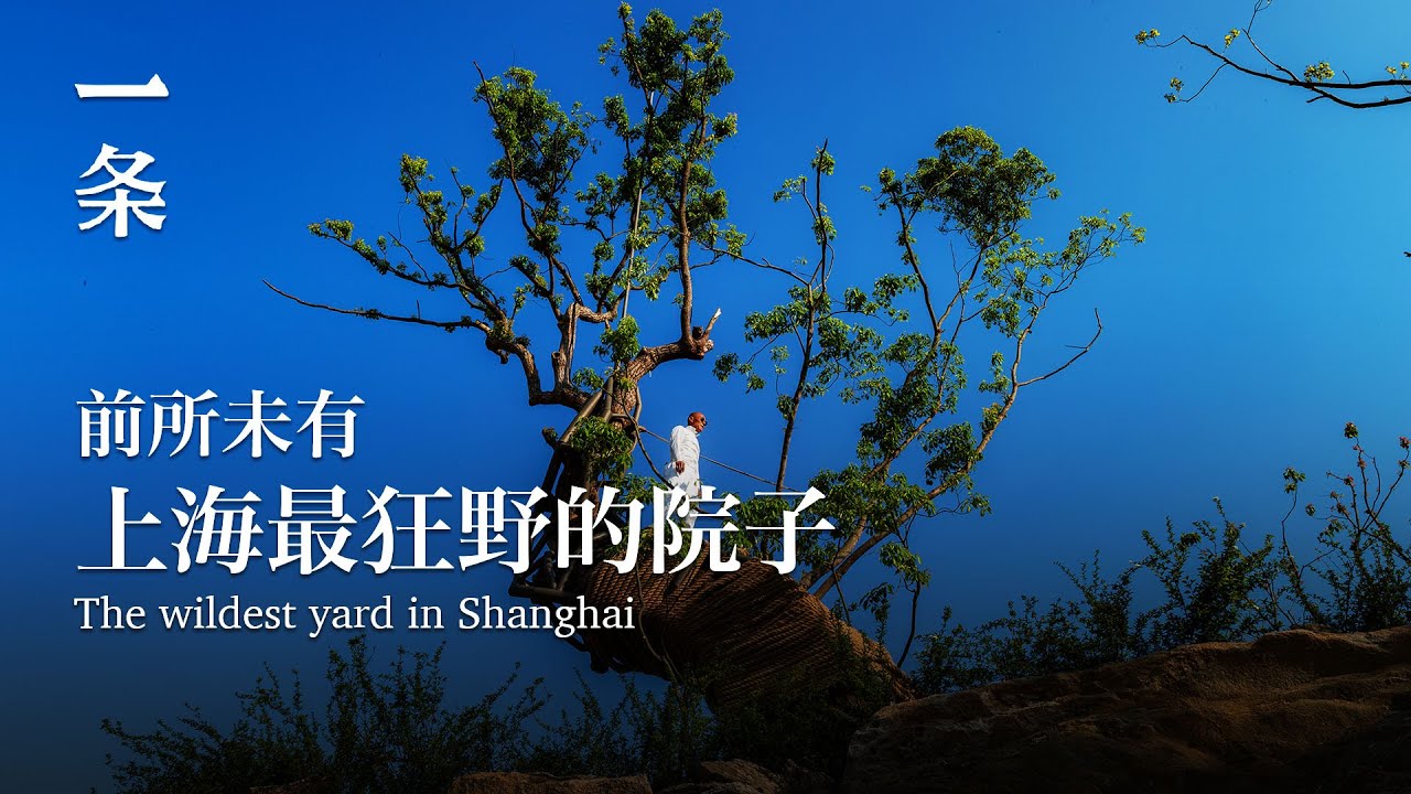 上海最狂野的院子 The wildest yard in Shanghai