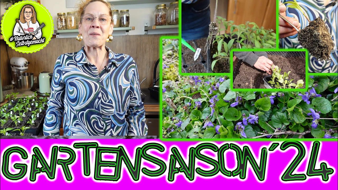 Pflanzen, pikieren, aussäen, düngen - das steht bei uns Ende März / Anfang April an