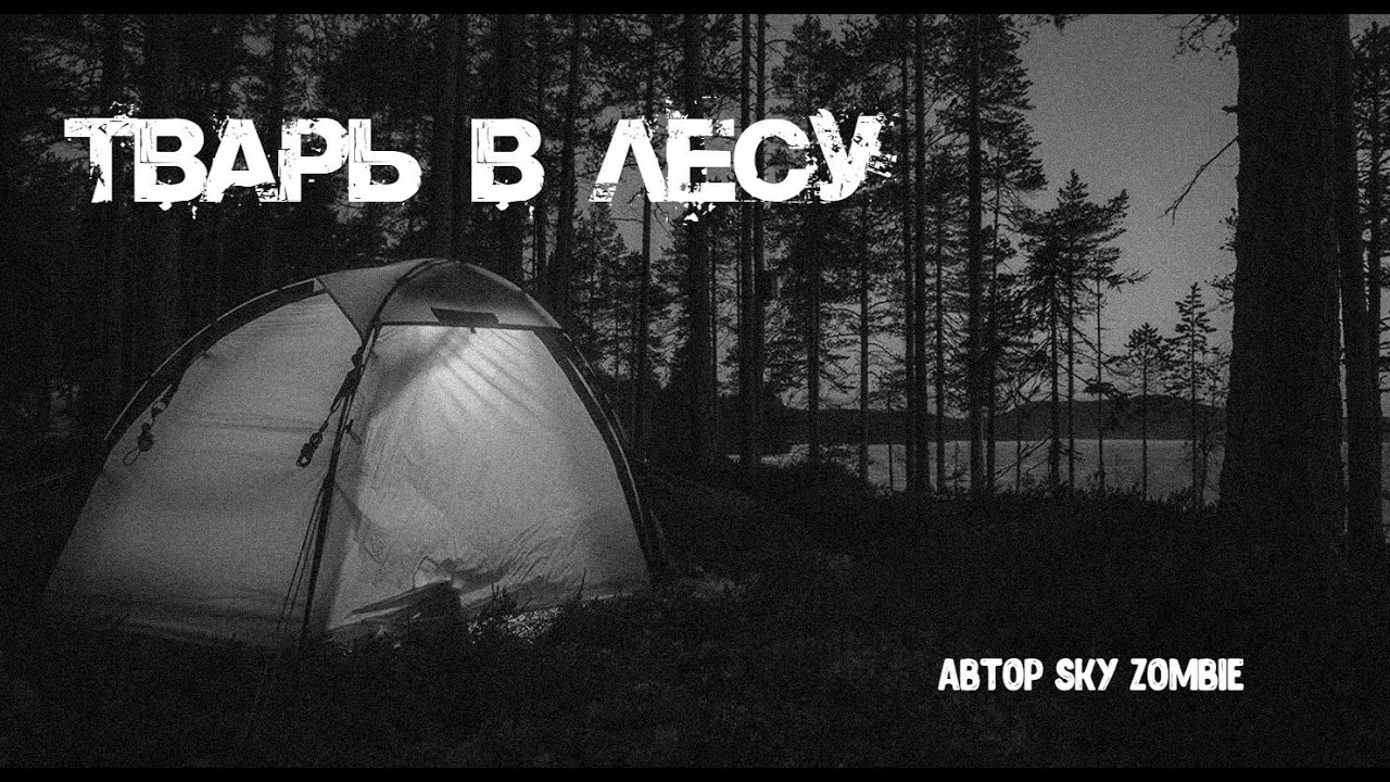 Тайны города Энска. Часть 1: Тварь в лесу