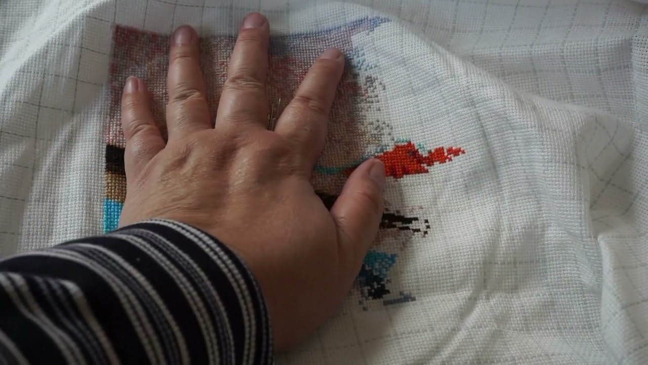 Broderie point de croix septembre 2024 #pointdecroix #flosstube