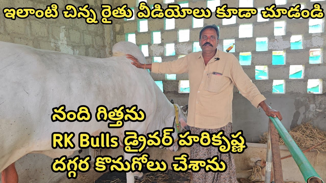 చిన్న రైతుగా ఎద్దులతో మొదలైన నా ప్రయాణం కంటిన్యూ చేస్తాను || చిలుకూరి నాగేశ్వరావు గారు J. పంగులూరు
