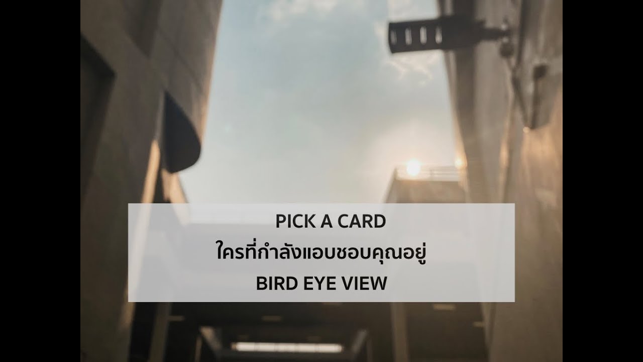Pick a card reading 124 ใครที่กำลังชอบคุณอยู่