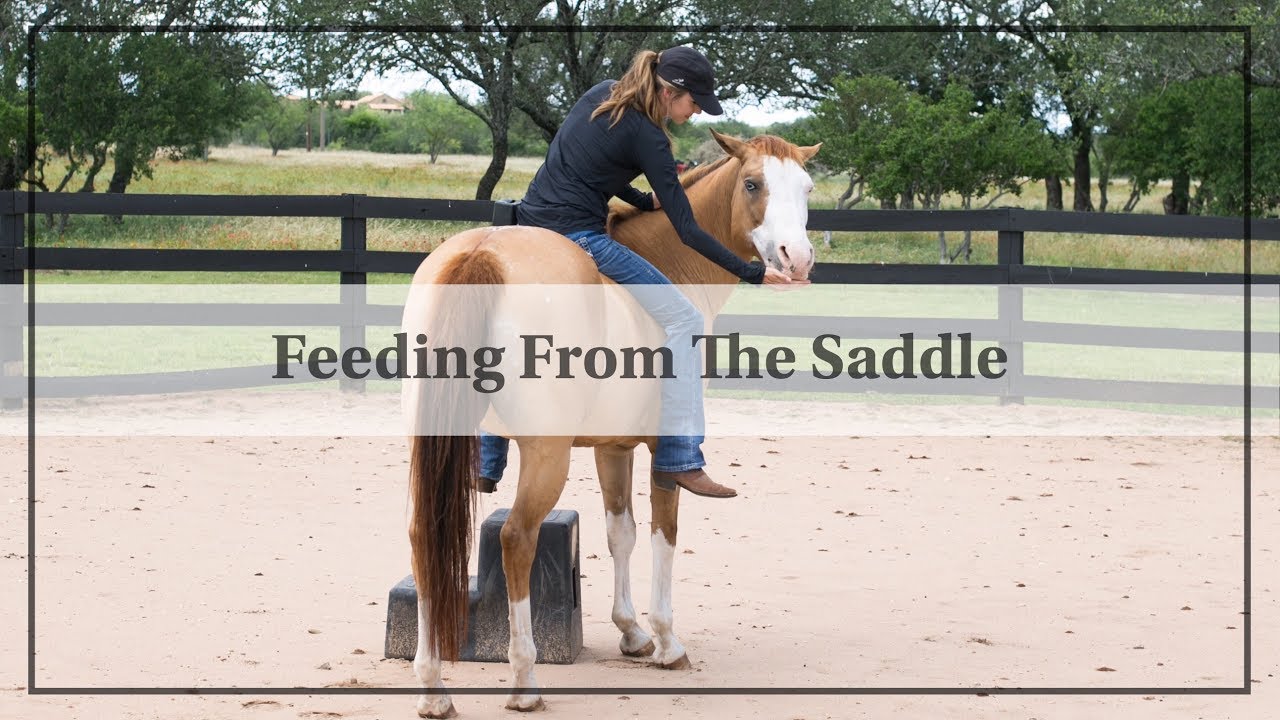 How To Feed From The Saddle