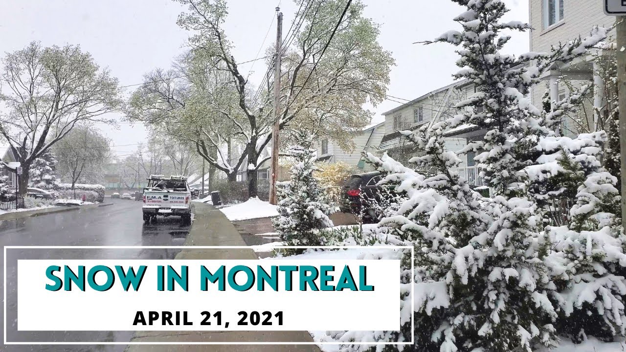 Montreal Late Season Snow - April 21, 2021 - 5cm snow / Breaking the record of 1963