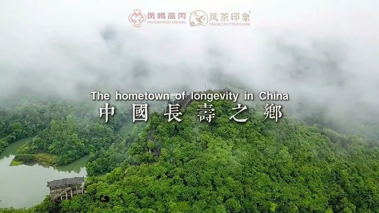 Where is Fenggang?鳳岡是哪裡？#zunyi #guizhou @Guizhou