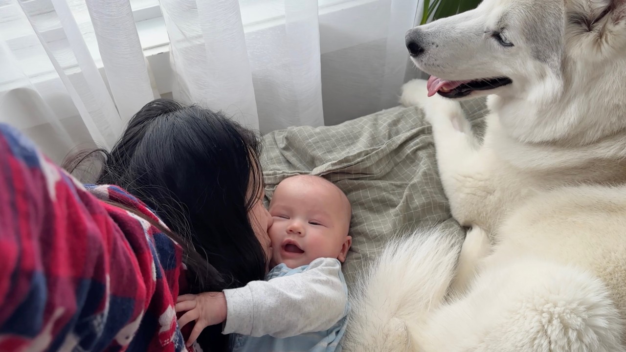 Happy new year 🤍 baby cuddles, puppy love, and grateful hearts
