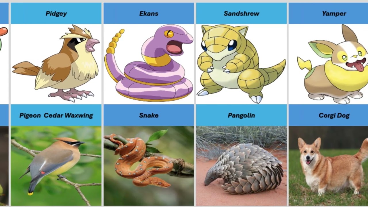 Popular Pokémon Inspired by Animals in Real Life..
