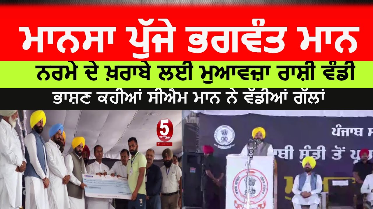 CM Bhagwant mann Live mansa | cm Bhagwant mann Distribute compensation for cotton damage|Mansa news|