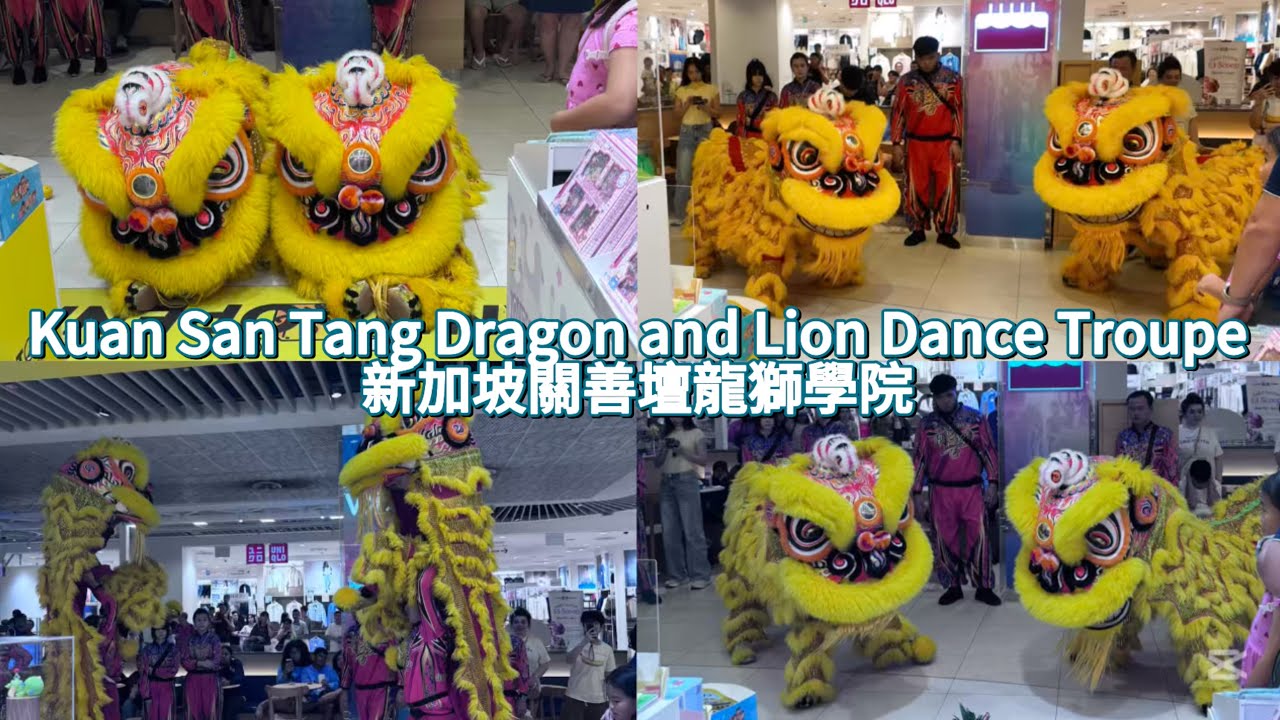 新加坡關善壇龍獅學院采青 Kuan San Tang Dragon and Lion Dance Troupe Cai Qing | KKV Grand Opening 2025