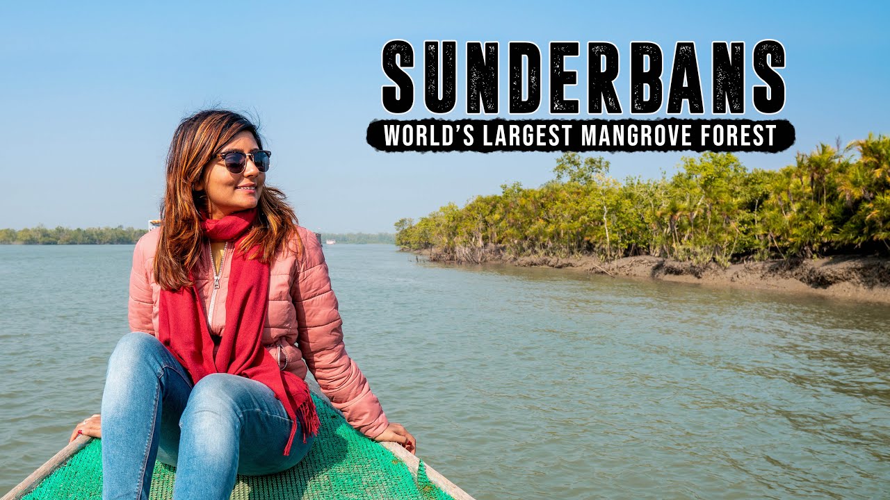 WORLD&rsquo;S LARGEST MANGROVE FOREST! Sunderbans National Park | Kritika Goel