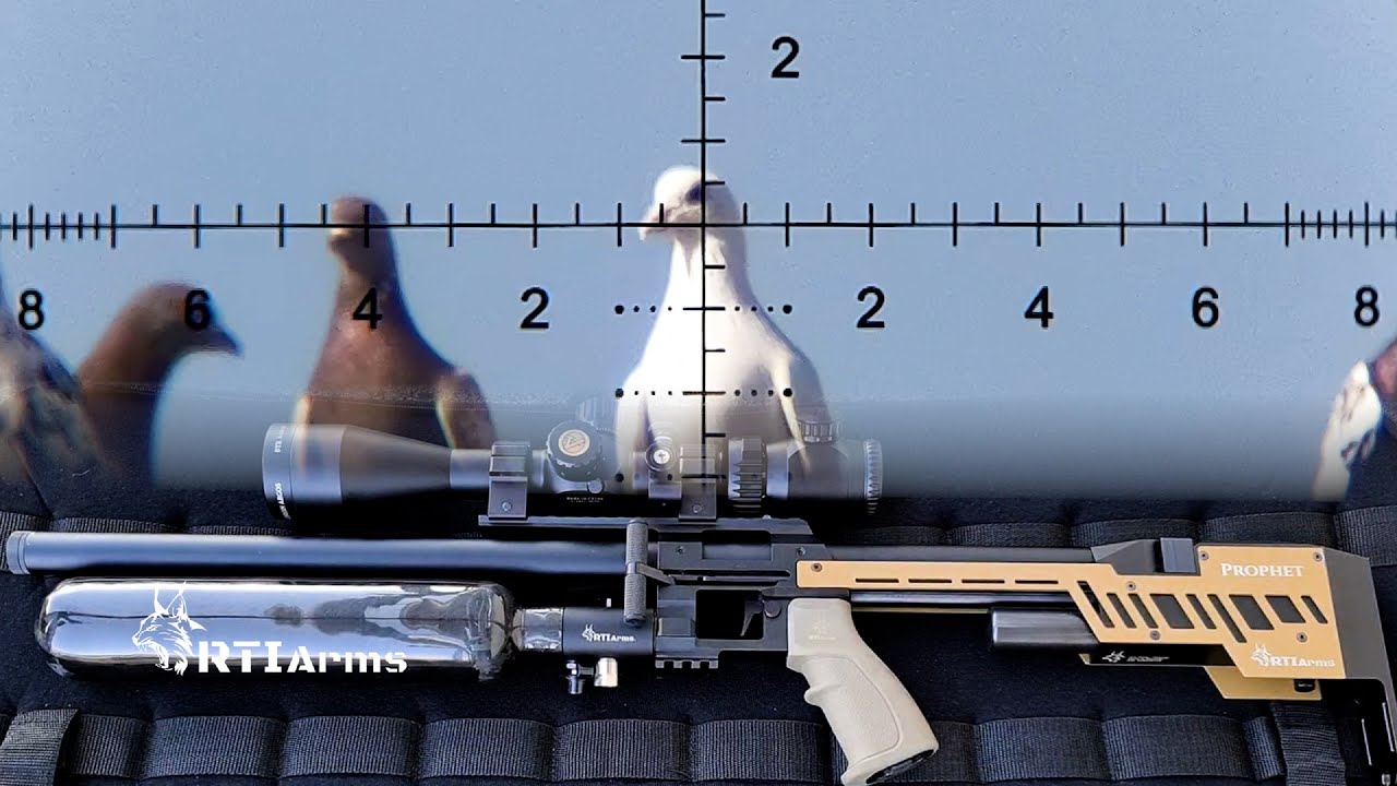 Супермаркет Super Pigeon Shoot