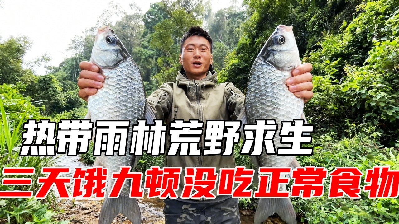 热带雨林荒野求生太难了！三天饿九顿没吃到正常食物，平头哥决定解锁新地图捕鱼吃【户外平头哥】