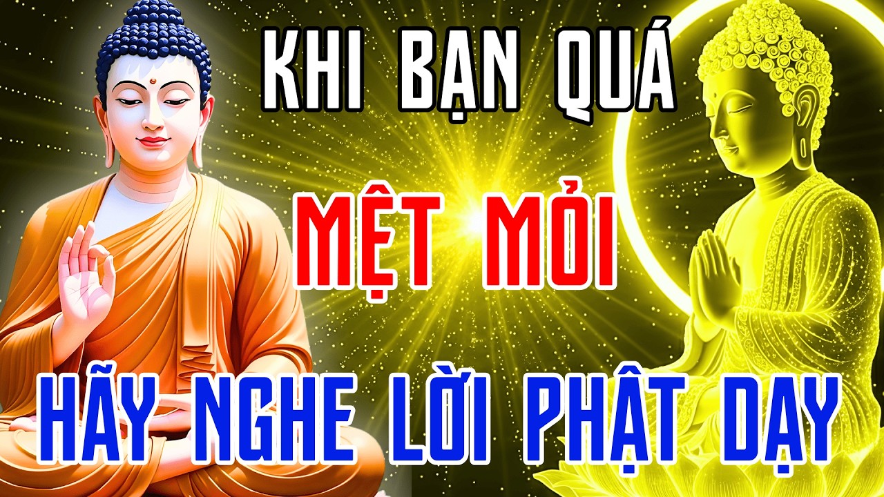 Nghe Lời Phật Dạy Để Thấu Hiểu Nhân Sinh – Bí Quyết Thay Đổi Vận Mệnh, Sống An Lạc