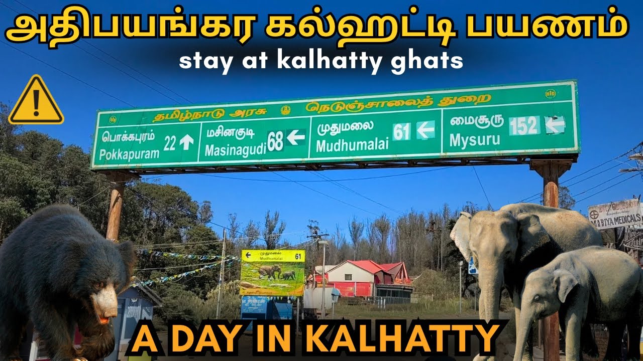 Exploring Kalhatty Ghats | Nilgiris’ Hidden Beauty 🌿 | Mudumalai & Masinagudi Vlog