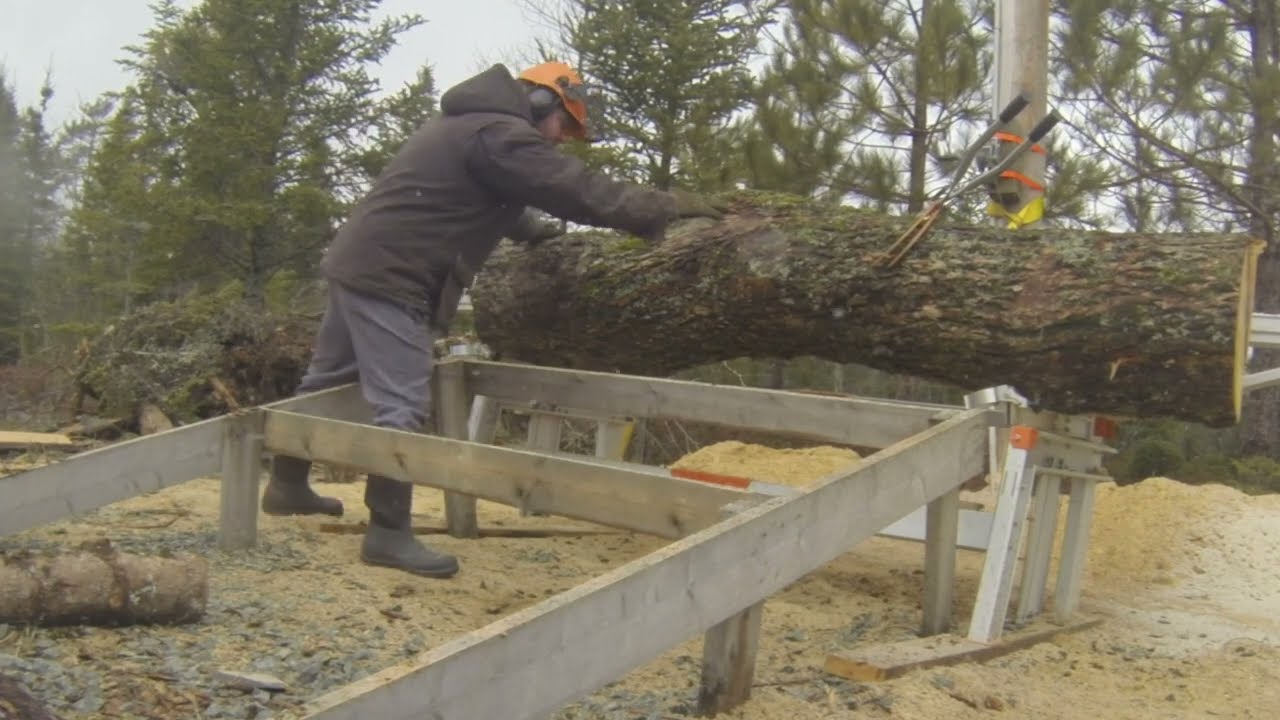 Milling a Willow Log on the Logosol F2+ Chainsaw Mill! 🌲🪵 I HIT A NAIL!