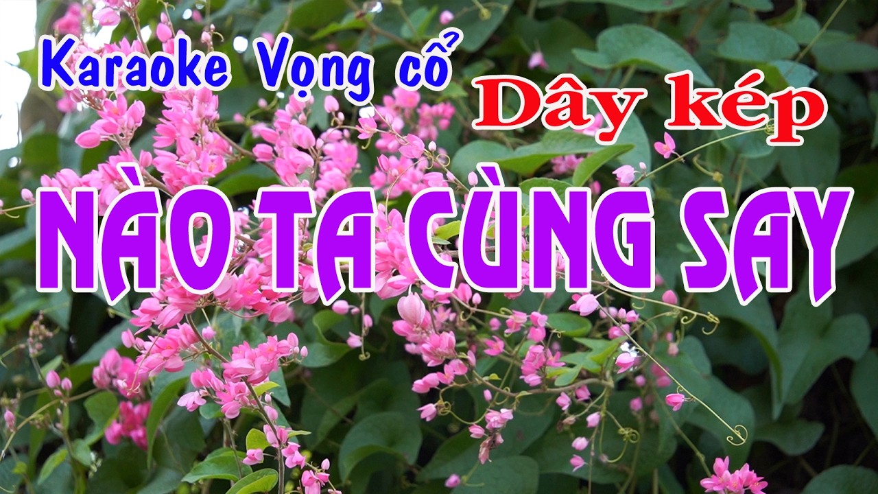 Karaoke vọng cổ NÀO TA CÙNG SAY - DÂY KÉP [Tác giả Diễm Trần]