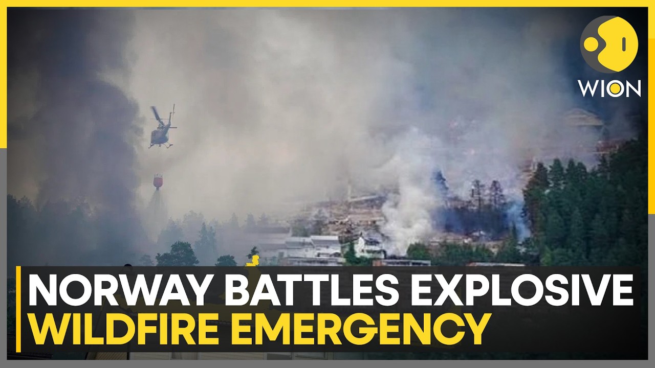 Norway Wildfire Turns Deadly | Over 100 Buildings Destroyed In Massive Blaze