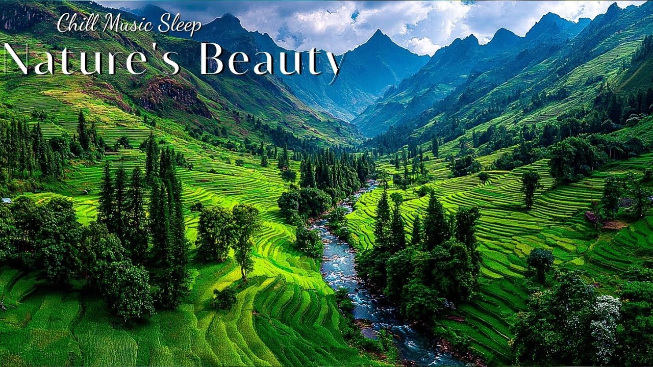 Nature Soundscape Piano Chill | Фоновая музыка для глубокой работы, интенсивной концентрации и учебы