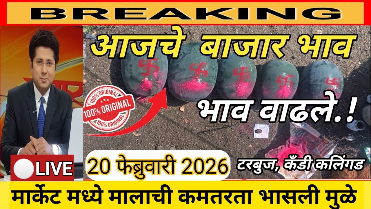 ⭕20 फेब्रुवारी 2026 | कलिंगड बाजार भाव | टरबूज बाजार भाव आजचे || kalingad bajar bhav today |