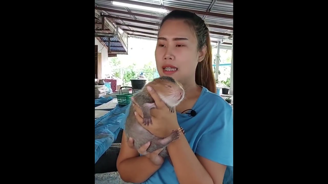 ขั้นตอนเลี้ยงอ้นมีอะไรบ้าง