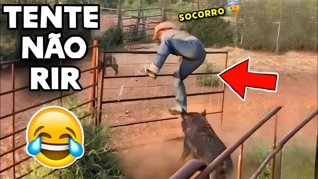 TENTE NÃO RIR 😂 OS MEMES MAIS ENGRAÇADOS DA INTERNET #videosengracados #tentenaorir #memes #comedia