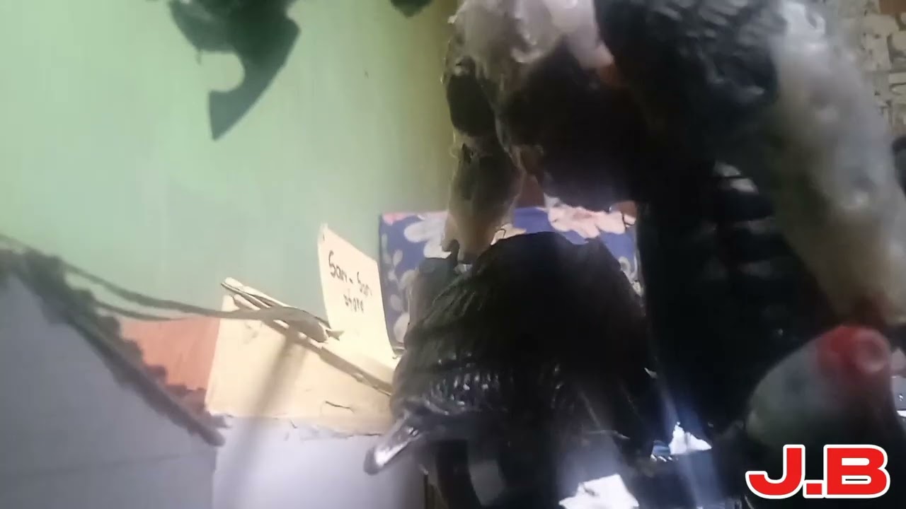 Godzilla attacks a tank?   pr2
