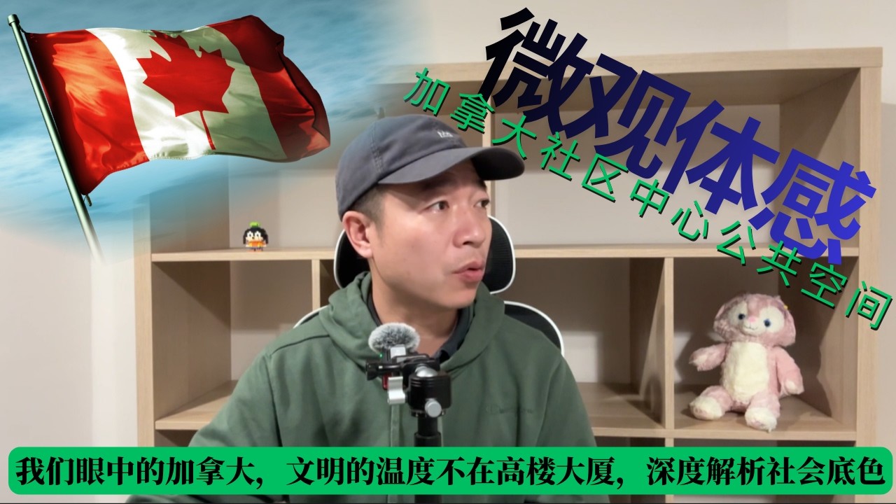我们眼中的加拿大，文明的温度不在高楼大厦。深度解析加拿大公共图书馆背后的社会底色，为什么它不仅是书房更是全社区的“避风港”，为什么国内图书馆总是充斥着考研刷题的焦虑