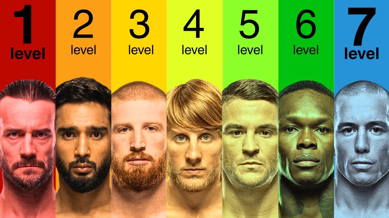 7 уровней бойца UFC