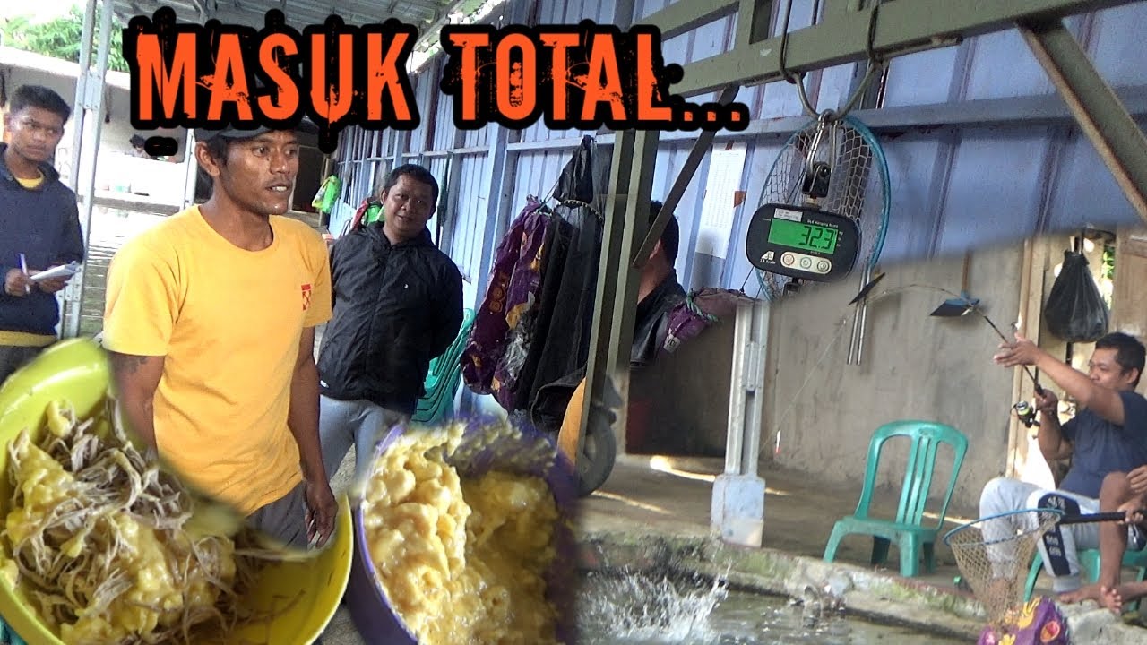 RACIKAN AYAM SUIR KEJU GALATAMA LELE