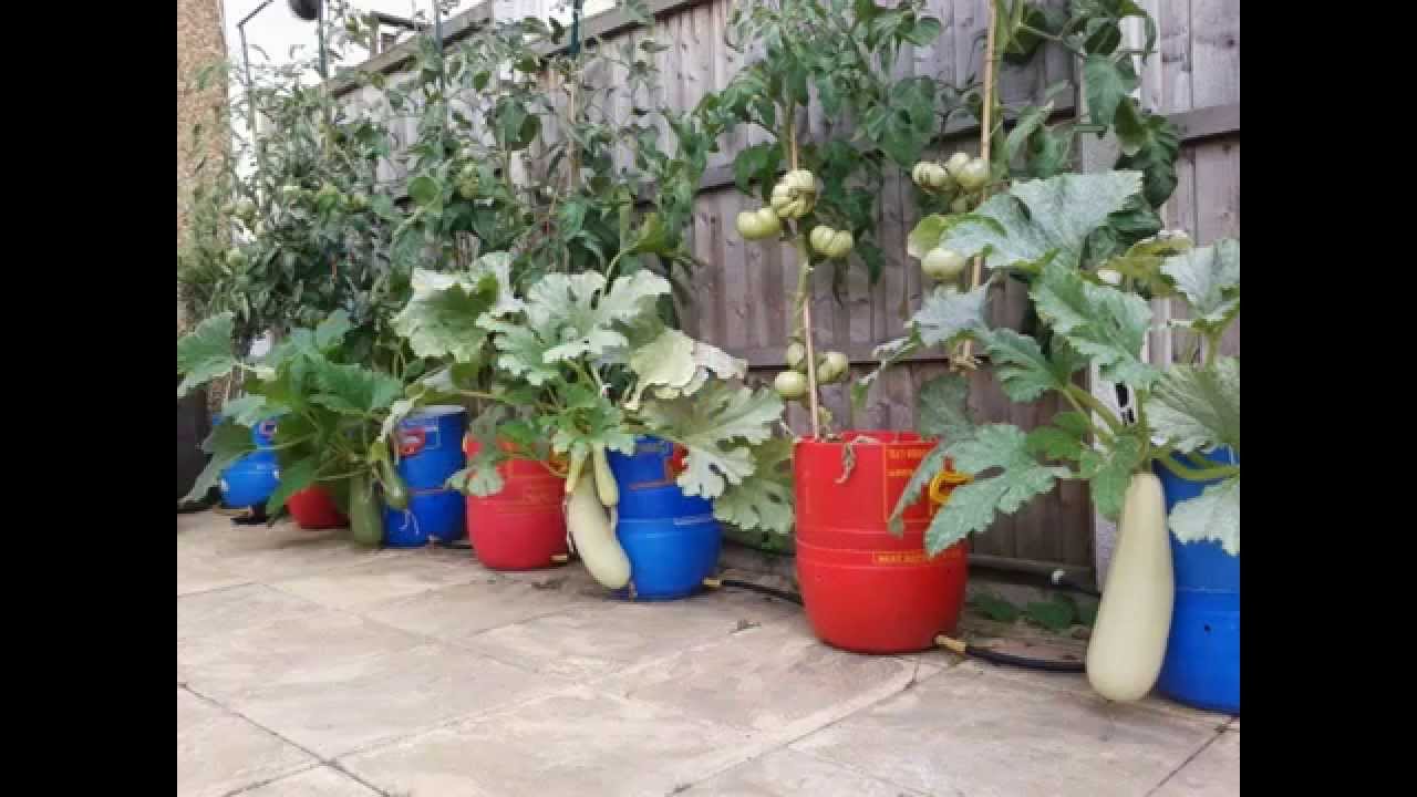 DIY Selfwatering Barrel Planter