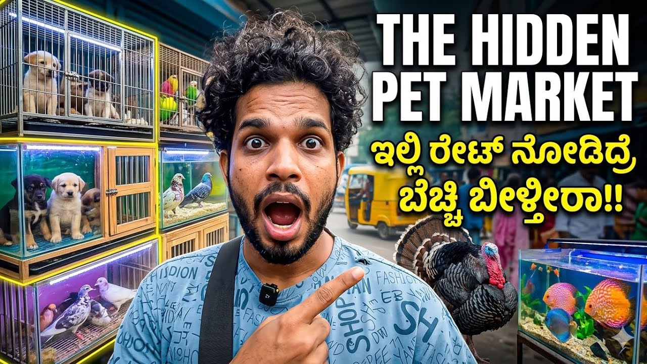 Biggest Pet Market in india