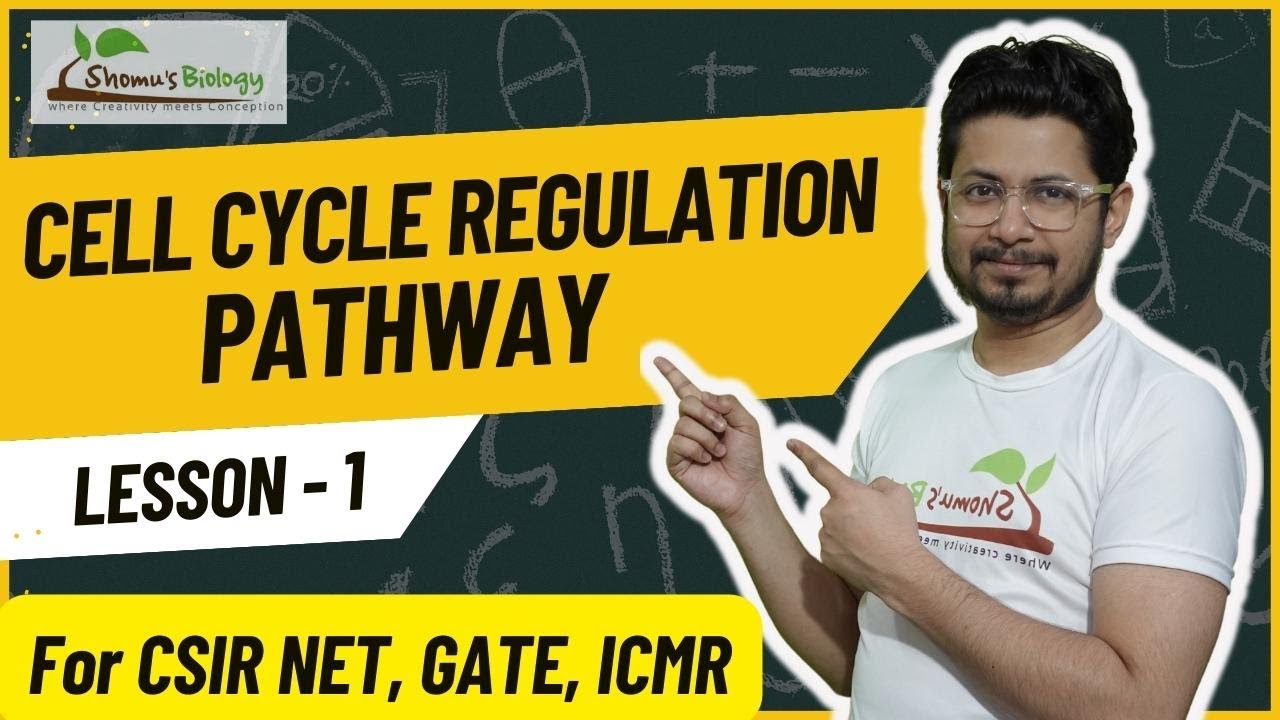 Cell cycle regulation CSIR NET | Regulation of cell cycle