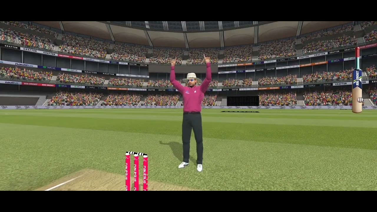 Real cricket game play